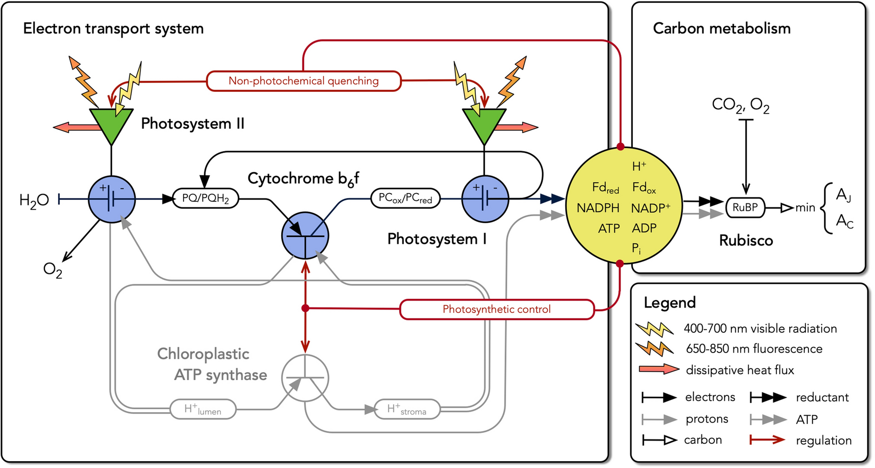 Johnson 2021, Photosynth. Res. scheme